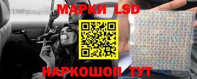 крисы Краснознаменск