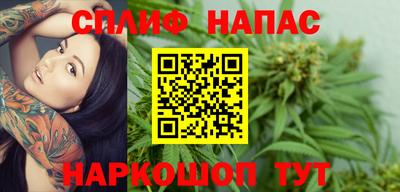 крисы Краснознаменск